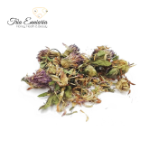 Красный Клевер (Trifolium Pratense L.), Сухоцветы , 25 г