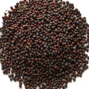 Schwarze Senfkörner, 100 g