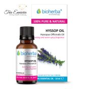 Hyssop, Pure Essential Oil, 10 ml, Bioherba
