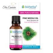 Pin blanc, huile essentielle pure, 10 ml, Bioherba