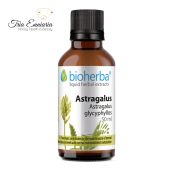 Astragalus Tincture, 50 ml, Bioherba