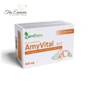AmyVital B17, 500 mg, 60 Capsules, Zdravnitza