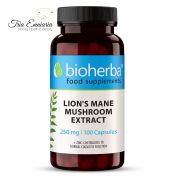Lion's Mane Mushroom, 250 mg, 100 Capsules, Bioherba