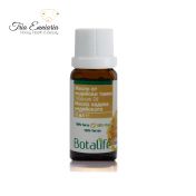 Incense oil  (Boswellia serrata ), 10 мл