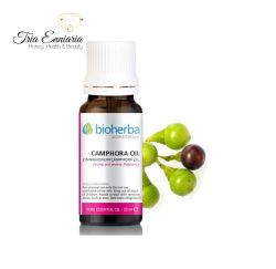 Camphor essential oil, 10 ml, Bioherba