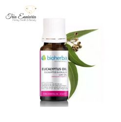 Eucalyptus essential oil, 10 ml, BIOHERBA