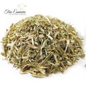 Blaue Galle, Chicorée-Stängel, 50 g