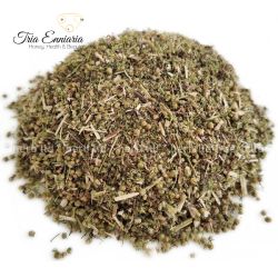 Sweet wormwood, chopped, Artemisia annua , antiparasitic action and detox, 50 g
