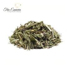 Meadow-rue (Thalictrum aquilegifolium), dried herb, 20 g