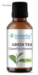 Green tea, tincture 50 ml