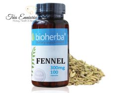 Fennel, 300 mg, 100 Capsules, Bioherba