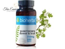 Hawthorn, 250 mg, 100 Capsules, Bioherba 