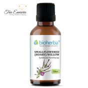 Smallflowered (Hoary) Willow Tincture, 50 ml, Bioherba