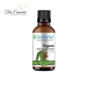 Pygeum Tincture, 50 ml, Bioherba