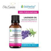 Lavendel, reines ätherisches Öl, 10 ml, Bioherba