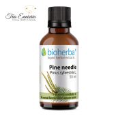 Teinture de pointes de pin, 50 ml, Bioherba
