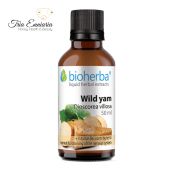 Wildkartoffel, Tinktur, 50 ml., Bioherba