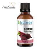 Rote-Bete-Tinktur, 50 ml, Bioherba