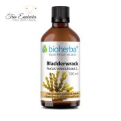 Teinture d'algues à bulles, 100 ml, Bioherba