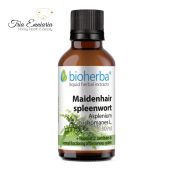 Ασπλένιουμ Βάμμα, 50 ml, Bioherba
