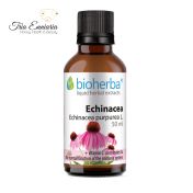 Échinacée, Teinture, Bioherba, 50 ml.