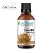 Teinture de fucoïdane, 50 ml, Bioherba