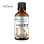 Tintura di corteccia di betulla, 50 ml, Bioherba