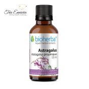 Astragalus Vitamin C-Tinktur, 50 ml, Bioherba