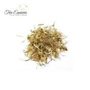 Cotton Thistle (Onopordum Acanthium L.) Flower, 30 g