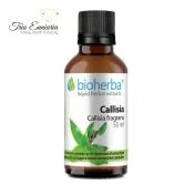 Callisia Tincture, 50 ml, Bioherba