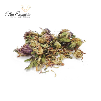 Красный Клевер (Trifolium Pratense L.), Сухоцветы , 25 г