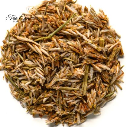 Pointes de pin, 70 g