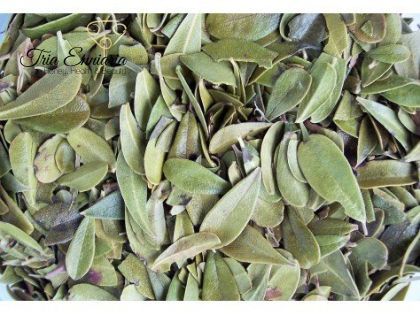 Bearberry Leaves, 100 g