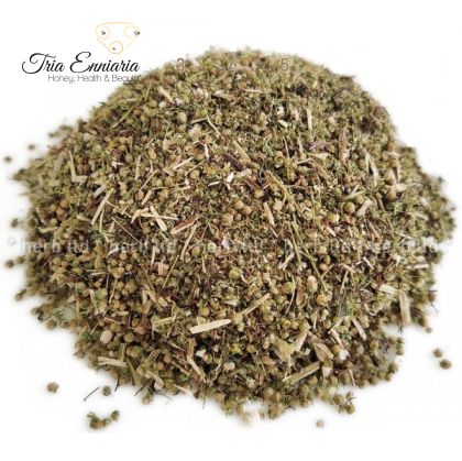 Absinthe douce, tige de Riazan, Artemisia Annua, 50 g