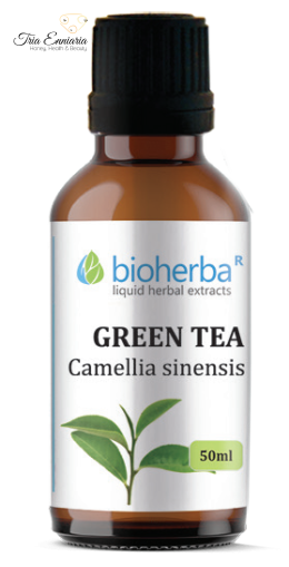 Green Tea, Tincture 50  ml, Bio Herba