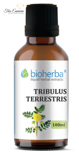 Tribulus Terrestris, Herbal Tincture , 100 ml