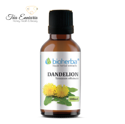 Dandelion - root, herbal tincture, 100 ml, Bioherba