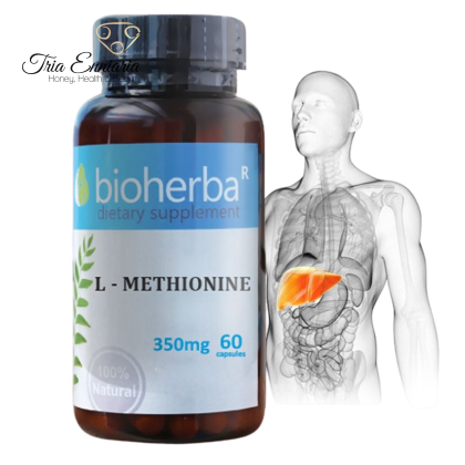 L - Метионин, 350 мг, 60 капсул, Bioherba