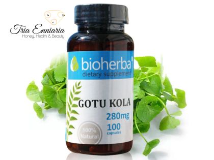 Gotu Kola, 280 mg, 100 gélules, Bioherba