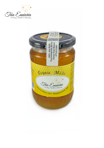 Fruit honey 450 g