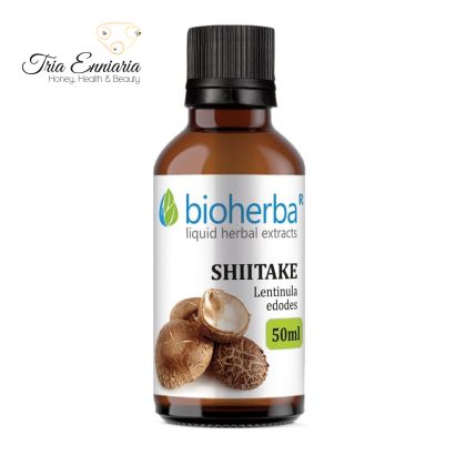 Shiitake-Pilz-Tinktur, 50 ml, Bioherba