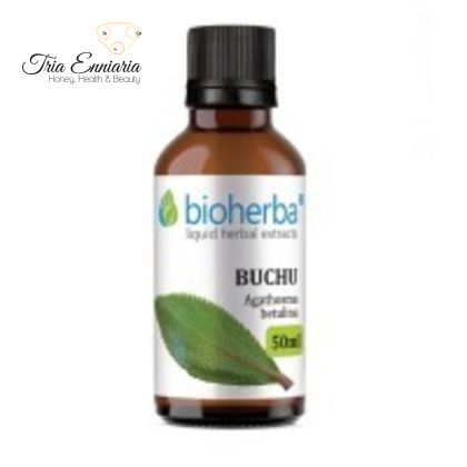 Buchu Leaf Tincture, 50 ml, Bioherba