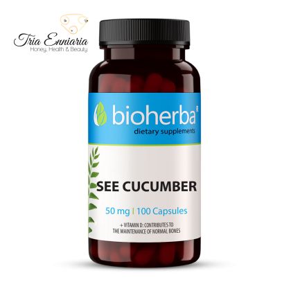 Sea Cucucmber Extract, 50 mg, 100 Capsules, Bioherba