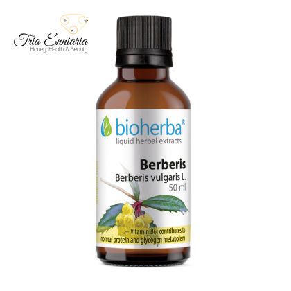 Berberis-Tinktur, 50 ml, Bioherba