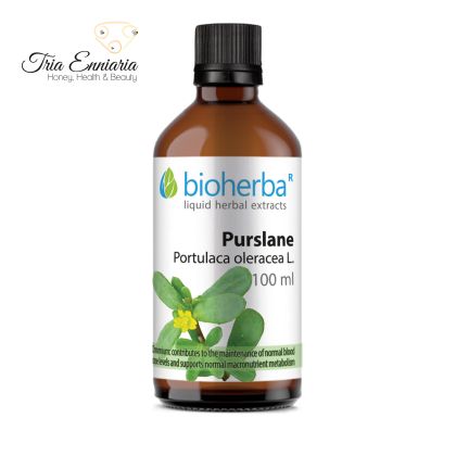 Portulak-Tinktur, 100 ml, Bioherba