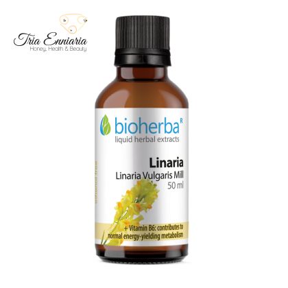 Lulichka-Tinktur, 50 ml, Bioherba