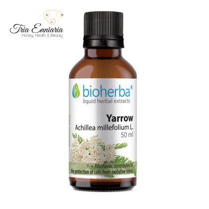 Weiße Schafgarben-Tinktur, 50 ml, Bioherba