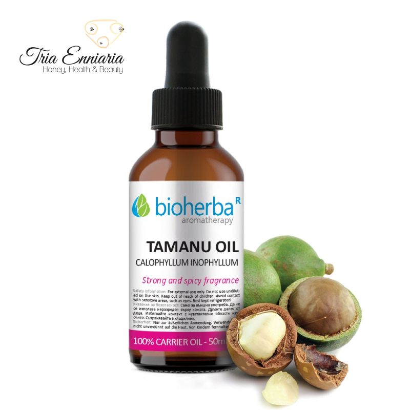 Amazon.com: HBNO Organic Tamanu Oil - Huge 4 oz (120ml) Value Size - USDA  Certified Organic Tamanu Oil, Cold Pressed carrier oil for Face, Body,  Lips, Nails, Shampoo & Conditioner : Health & Household