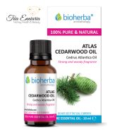 Eль, Чистое Эфирное Масло, 10 мл, Bioherba