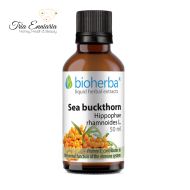 Teinture Sea Buckthorn, 50 ml, Bioherba